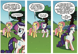 Size: 1080x750 | Tagged: safe, artist:tonyfleecs, idw, official comic, character:fluttershy, character:rarity, species:pegasus, species:pony, species:unicorn, friends forever, comic, dialogue, duo, female, mare, speech bubble