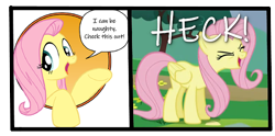 Size: 650x323 | Tagged: safe, edit, edited screencap, idw, screencap, character:fluttershy, episode:sonic rainboom, g4, my little pony: friendship is magic, heck, language, painfully innocent fluttershy