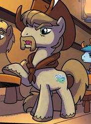 Size: 520x710 | Tagged: safe, artist:tonyfleecs, idw, official comic, species:earth pony, species:pony, background pony, clothing, cowboy hat, cropped, facial hair, from the shadows, hat, male, moustache, solo focus, stallion, unnamed pony