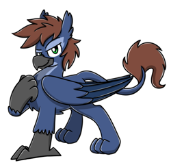 Size: 507x489 | Tagged: safe, artist:sugar morning, patreon reward, oc, oc only, oc:warly, species:griffon, beak, chest fluff, claws, ear fluff, folded wings, griffonized, lidded eyes, looking at you, male, patreon, paws, simple background, smiling, smirk, smug, solo, species swap, white background, wings
