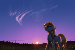 Size: 3000x2000 | Tagged: safe, artist:klooda, oc, oc only, oc:skydreams, species:pony, species:unicorn, backlighting, cloud, commission, female, flower, lens flare, mare, power line, scenery, scenery porn, sunset, ych result