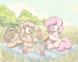 Size: 2560x2048 | Tagged: safe, artist:sugar morning, oc, oc:kayla, oc:mary jane, species:earth pony, species:pegasus, species:pony, bag, cloud, commission, couple, cute, eating, female, flower, food, grass, kayry, laying on stomach, lesbian, map, mare, oc x oc, picnic, plastic cup, scenery, shipping, sketch, sky, soda, subway, tree