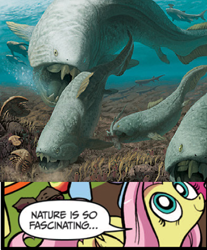 Size: 390x470 | Tagged: safe, idw, character:fluttershy, dunkleosteus, exploitable meme, fish, meme, nature is so fascinating, prehistoric, trilobite