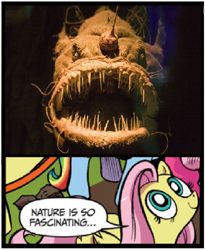 Size: 409x500 | Tagged: safe, idw, character:fluttershy, angler fish, exploitable meme, fish, meme, nature is so fascinating, nightmare fuel