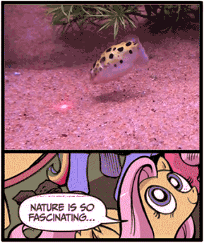 Size: 289x344 | Tagged: safe, idw, character:fluttershy, animated, exploitable meme, fish, kufi, laser pointer, meme, nature is so fascinating, puffer fish