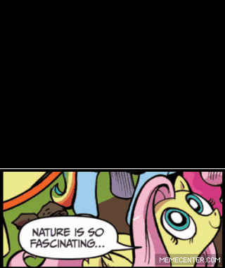 Size: 320x382 | Tagged: safe, edit, edited screencap, idw, screencap, character:fluttershy, character:princess celestia, species:changeling, episode:a canterlot wedding, g4, my little pony: friendship is magic, animated, cocoon, comic, exploitable meme, hung upside down, meme, nature is so fascinating, upside down