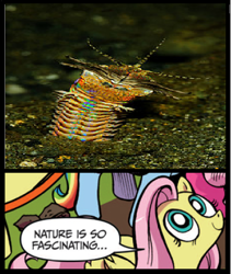 Size: 398x472 | Tagged: safe, idw, character:fluttershy, bobbit worm, exploitable meme, meme, nature is so fascinating