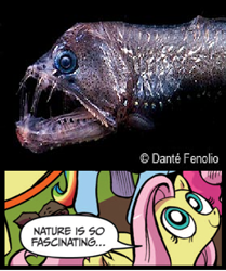 Size: 396x474 | Tagged: safe, idw, character:fluttershy, exploitable meme, fish, meme, nature is so fascinating, viperfish