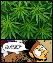 Size: 397x473 | Tagged: safe, edit, idw, character:flax seed, exploitable meme, flax seed looks at stuff, marijuana, meme, nature is so fascinating