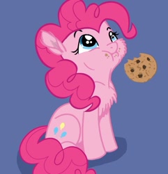Size: 822x851 | Tagged: safe, artist:bri-sta, artist:glittering-pony, artist:longren, edit, character:pinkie pie, chest fluff, colored, cookie, cute, diapinkes, eating, filly, nom, simple background, sitting, solo