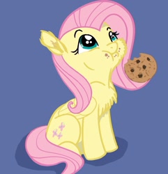 Size: 822x851 | Tagged: safe, artist:bri-sta, artist:glittering-pony, artist:longren, edit, character:fluttershy, chest fluff, cookie, cute, eating, filly, nom, shyabetes, simple background, sitting, solo