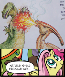 Size: 395x473 | Tagged: safe, idw, character:fluttershy, creationism, dinosaur, dinosaurs by design, exploitable meme, fire, fire breath, meme, nature is so fascinating, parasaurolophus, retrosaur, scientifically inaccurate, seems legit