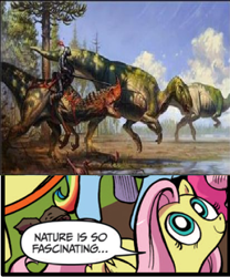 Size: 393x472 | Tagged: safe, idw, character:fluttershy, ceratosaurus, creationism, dinosaur, exploitable meme, fantasy class, hadrosaur, knight, knights riding crazy shit, meme, nature is so fascinating, warrior