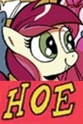 Size: 312x468 | Tagged: safe, idw, character:roseluck, caption, dissonant caption, expand dong, image macro, solo, text, vulgar