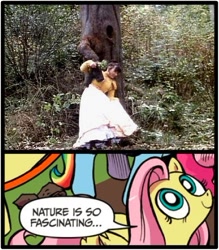 Size: 397x453 | Tagged: safe, idw, character:fluttershy, doctor who, exploitable meme, meme, nature is so fascinating, nicola bryant, obligatory pony, peri brown, the mark of the rani, tree