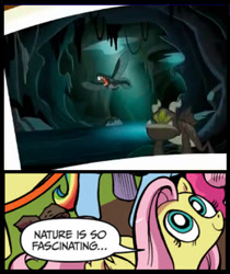 Size: 396x472 | Tagged: safe, idw, character:fluttershy, episode:pinkie apple pie, g4, my little pony: friendship is magic, cave, exploitable meme, flish, meme, monster, nature is so fascinating, scariest cave in equestria