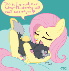 Size: 662x688 | Tagged: safe, artist:mcponyponypony, character:fluttershy, beanbag, beanbag chair, cat, crossover, cute, dan vs, mr mumbles