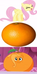 Size: 3792x7512 | Tagged: safe, screencap, character:fluttershy, episode:what about discord?, g4, my little pony: friendship is magic, dragon ball z, flutterrange, food, fusion, image macro, inanimate tf, meme, orange, orangified, transformation