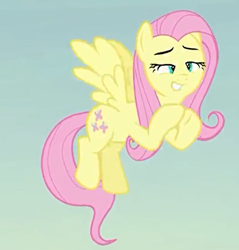 Size: 429x448 | Tagged: safe, screencap, character:fluttershy, species:pegasus, species:pony, episode:the hooffields and mccolts, g4, my little pony: friendship is magic, cropped, faec, female, mare, solo
