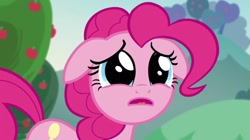 Size: 2048x1147 | Tagged: safe, screencap, character:pinkie pie, episode:the mane attraction, g4, my little pony: friendship is magic, floppy ears