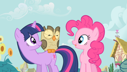 Size: 1366x768 | Tagged: safe, screencap, character:owlowiscious, character:pinkie pie, character:twilight sparkle, episode:owl's well that ends well, g4, my little pony: friendship is magic