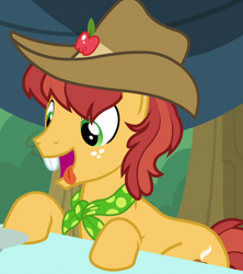 Size: 632x713 | Tagged: safe, screencap, character:half baked apple, species:earth pony, species:pony, episode:apple family reunion, g4, my little pony: friendship is magic, apple family member, background pony, bucktooth, clothing, cowboy hat, cropped, hat, male, solo, stallion, stetson, tongue out