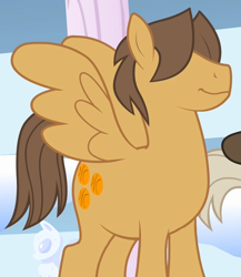 Size: 496x571 | Tagged: safe, screencap, character:dumbbell, character:hoops, species:pegasus, species:pony, episode:sonic rainboom, g4, my little pony: friendship is magic, cropped, male, solo focus, stallion