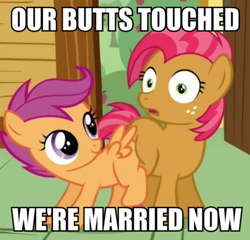 Size: 468x450 | Tagged: safe, screencap, character:babs seed, character:scootaloo, species:pegasus, species:pony, episode:one bad apple, g4, my little pony: friendship is magic, babscoot, butt bump, butt to butt, butt touch, image macro, meme, shipping