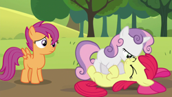 Size: 1280x720 | Tagged: safe, screencap, character:apple bloom, character:scootaloo, character:sweetie belle, species:pegasus, species:pony, episode:brotherhooves social, g4, my little pony: friendship is magic, cutie mark crusaders, out of context