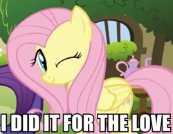 Size: 599x466 | Tagged: safe, screencap, character:fluttershy, character:rarity, episode:stare master, g4, my little pony: friendship is magic, caption, image macro, wink