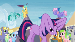 Size: 1366x768 | Tagged: safe, screencap, character:linky, character:ponet, character:rainbowshine, character:red gala, character:shoeshine, character:spring melody, character:sprinkle medley, character:sunshower raindrops, character:twilight sparkle, character:twilight sparkle (alicorn), species:alicorn, species:pony, episode:trade ya, g4, my little pony: friendship is magic, apple family member, crimson gala, female, hiding behind wing, mare, wings
