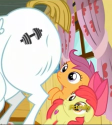 Size: 842x941 | Tagged: safe, screencap, character:apple bloom, character:bulk biceps, character:scootaloo, species:pegasus, species:pony, episode:on your marks, g4, my little pony: friendship is magic, cropped, discovery family logo, out of context, plot