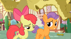 Size: 2489x1361 | Tagged: safe, screencap, character:apple bloom, character:tender taps, species:earth pony, species:pony, episode:on your marks, g4, my little pony: friendship is magic, colt, cutie mark, discovery family logo, female, filly, male, ponyville, the cmc's cutie marks