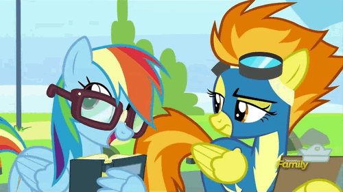 Size: 500x281 | Tagged: safe, screencap, character:rainbow dash, character:silver lining, character:spitfire, species:pegasus, species:pony, episode:newbie dash, g4, my little pony: friendship is magic, animated, annoyed, book, broken glasses, clipboard, discovery family logo, female, frown, gif, glare, glasses, goggles, male, mare, open mouth, paper, rainbow dork, raised eyebrow, reading rainboom, smiling, spitfire is not amused, stallion, talking, unamused, wind waker (character), wing arms, wing hands, wonderbolts, wonderbolts uniform