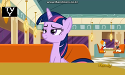 Size: 728x436 | Tagged: safe, screencap, character:beaude mane, character:joan pommelway, character:twilight sparkle, character:twilight sparkle (alicorn), species:alicorn, species:earth pony, species:pony, episode:the saddle row review, g4, my little pony: friendship is magic, background pony, cafe, discovery family logo, female, joan holloway, male, mare, stallion