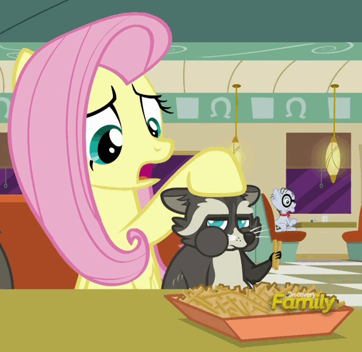 Size: 507x494 | Tagged: safe, screencap, character:fluttershy, character:mr. waddle, episode:the saddle row review, g4, my little pony: friendship is magic, animated, discovery family logo, loop, raccoon, smoky jr.