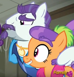 Size: 411x429 | Tagged: safe, screencap, character:mr. stripes, character:plaid stripes, episode:the saddle row review, g4, my little pony: friendship is magic, cropped, discovery family logo