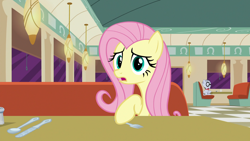 Size: 1920x1080 | Tagged: safe, screencap, character:fluttershy, character:mr. waddle, episode:the saddle row review, g4, my little pony: friendship is magic, offscreen character, pov
