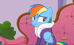 Size: 891x543 | Tagged: safe, screencap, character:rainbow dash, episode:applejack's day off, bathrobe, clothing, discovery family logo, robe