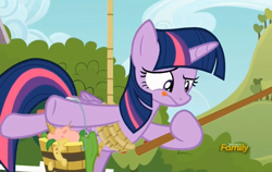 Size: 860x543 | Tagged: safe, screencap, character:twilight sparkle, character:twilight sparkle (alicorn), species:alicorn, species:pony, episode:applejack's day off, discovery family logo, female, mare, rope, suspended, tongue out