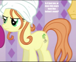 Size: 1333x1085 | Tagged: safe, screencap, character:ocean dream, episode:applejack's day off