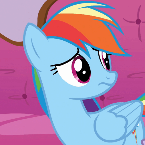 Size: 507x507 | Tagged: safe, screencap, character:rainbow dash, episode:applejack's day off, animated, solo focus