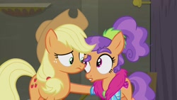 Size: 1920x1080 | Tagged: safe, screencap, character:applejack, character:plaid stripes, species:pony, episode:the saddle row review, g4, my little pony: friendship is magic, eye contact, raised eyebrow