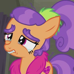 Size: 826x827 | Tagged: safe, screencap, character:plaid stripes, species:pony, episode:the saddle row review, g4, my little pony: friendship is magic, braces, cropped, crying, cute, plaidabetes, solo