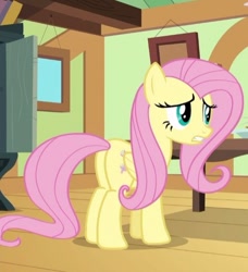 Size: 478x523 | Tagged: safe, screencap, character:fluttershy, species:pony, episode:flutter brutter, g4, my little pony: friendship is magic, cropped, female, mare, plot
