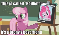 Size: 888x540 | Tagged: safe, screencap, character:cheerilee, character:pinkie pie, episode:call of the cutie, g4, my little pony: friendship is magic, caption, chalkboard, clipboard, funny, image macro, meme, ponyville schoolhouse, roflbot
