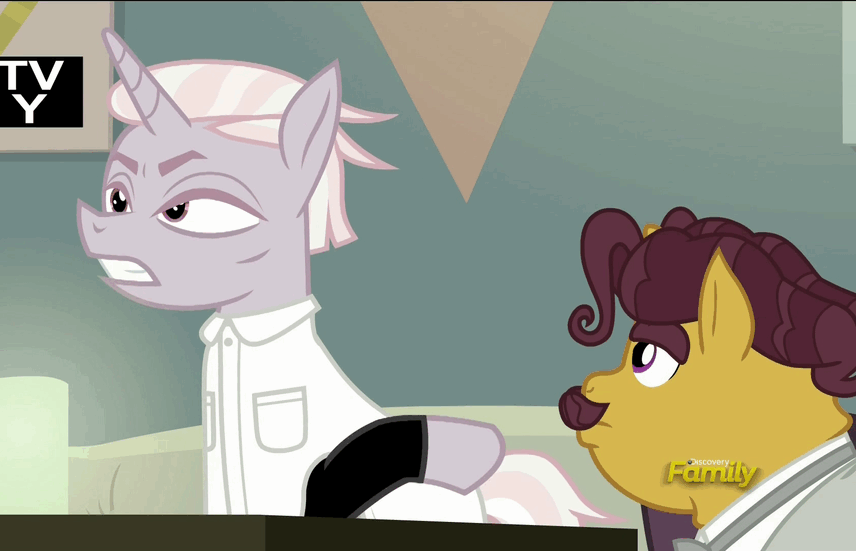 Size: 856x551 | Tagged: safe, screencap, character:coriander cumin, character:zesty gourmand, species:pony, episode:spice up your life, g4, my little pony: friendship is magic, animated, discovery family logo, loop