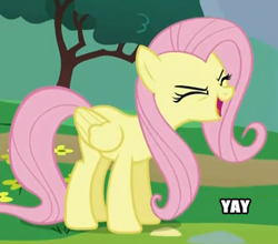 Size: 324x285 | Tagged: safe, screencap, character:fluttershy, species:pegasus, species:pony, eyes closed, female, flutteryay, image macro, impact font, mare, meme, solo, yay