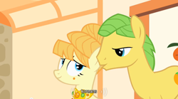 Size: 640x355 | Tagged: safe, screencap, character:aunt orange, character:uncle orange, species:earth pony, species:pony, episode:the cutie mark chronicles, g4, my little pony: friendship is magic, female, korean, male, mare, stallion, youtube caption