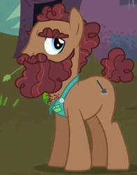 Size: 460x587 | Tagged: safe, screencap, species:earth pony, species:pony, episode:the hooffields and mccolts, g4, my little pony: friendship is magic, background pony, beard, chest hair, clothing, cropped, facial hair, gravedigger hooffield, hooffield family, male, moustache, solo, stallion